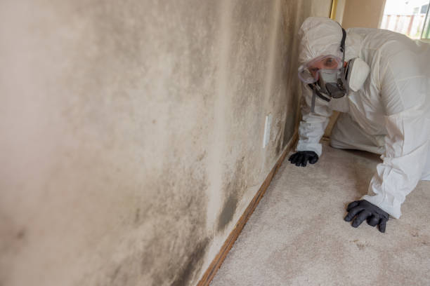 Forensic Mold Investigation in Highpoint, OH